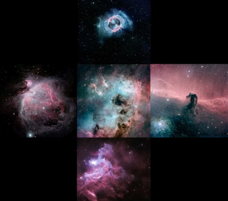 Why you should start shooting in long focal length In 2025