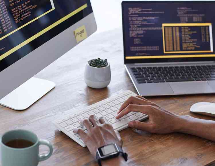 software developer developing software