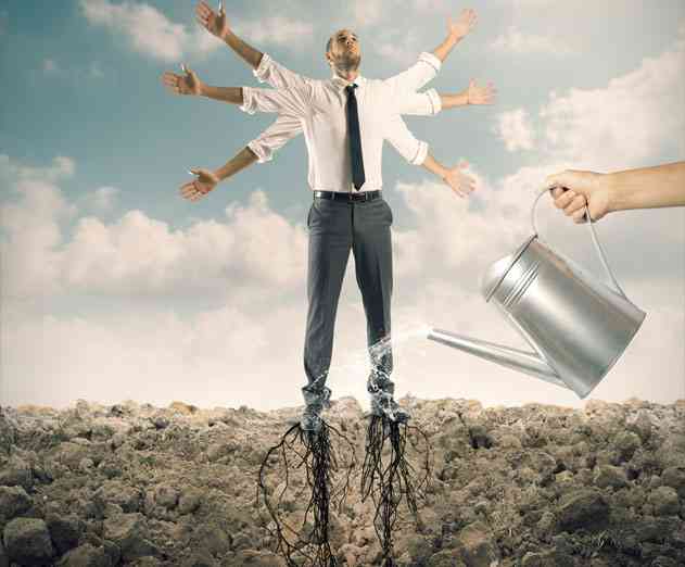 New Windows Phone 8.1 App Development Training for Absolute Beginners